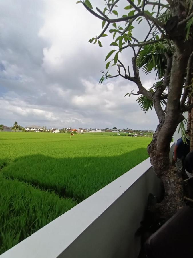 The Kd Suites & Coffee Shop Munggu المظهر الخارجي الصورة